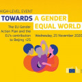 © European Commission